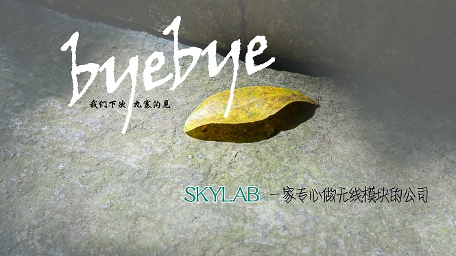 SKYLAB，一家做无线模块的公司