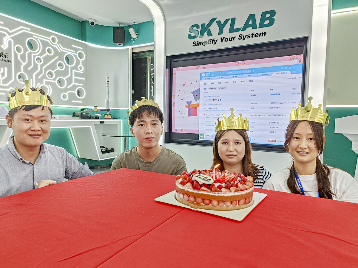 赴一场春日之约|SKYLAB 2023年第一季度生日会、迎新会